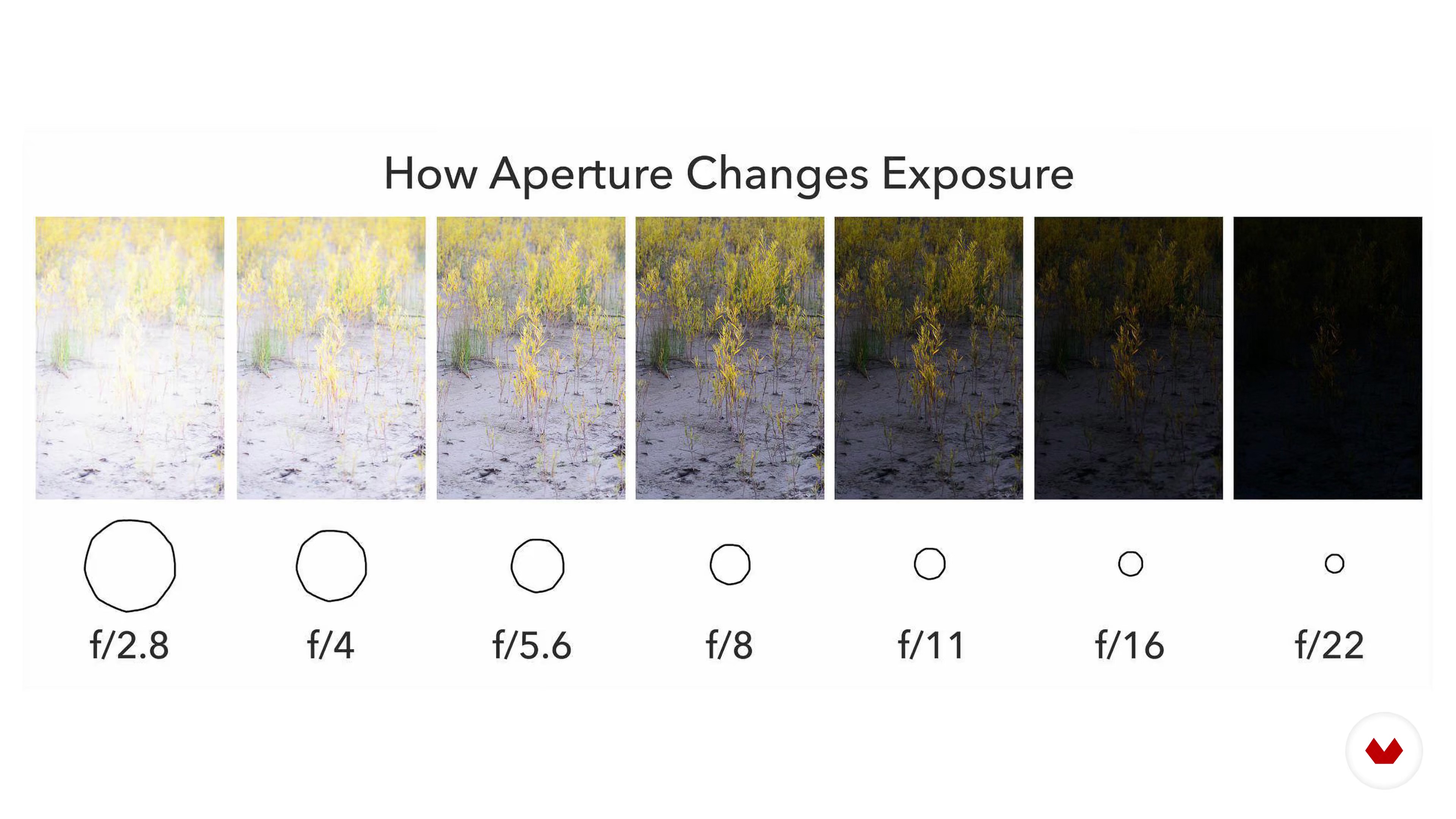 Выдержка vs. Закрытая диафрагма в фотоаппарате. Открытая диафрагма в фотоаппарате. Влияние диафрагмы на фотографию. Значения диафрагмы на фотоаппарате.