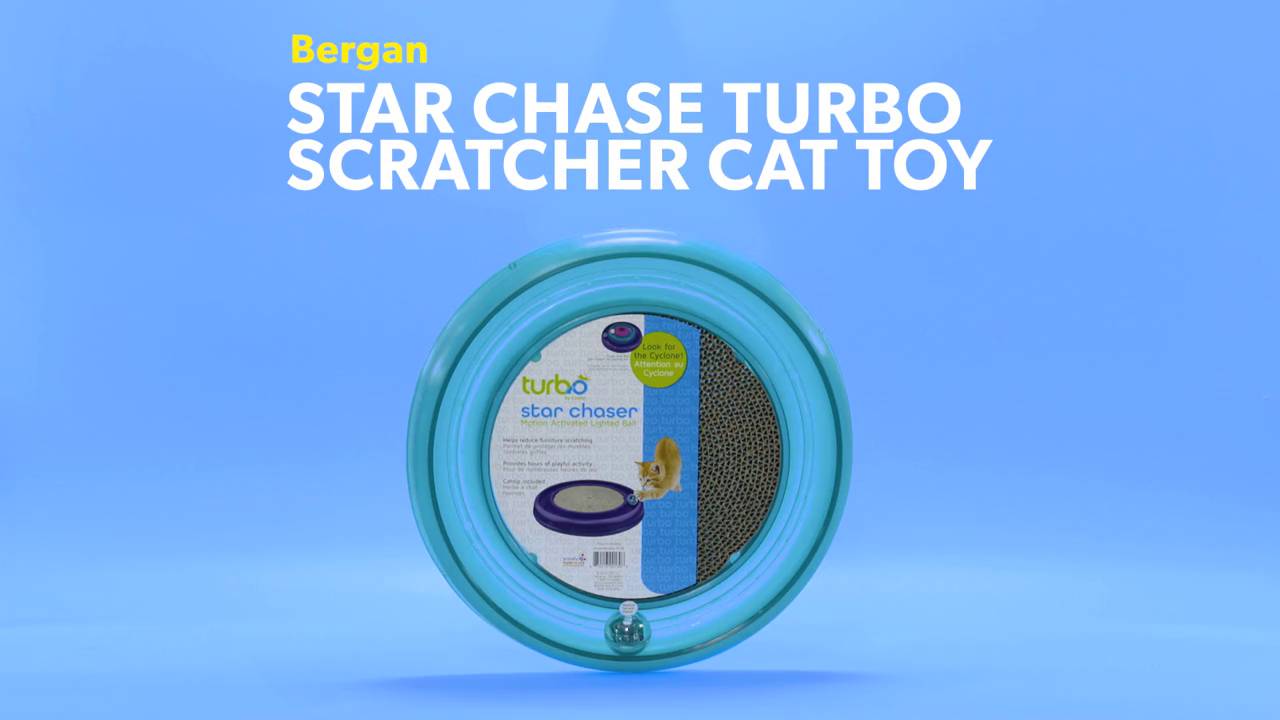 star chaser cat toy