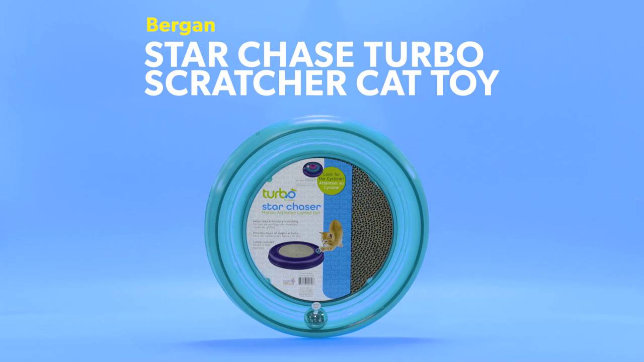 Star chaser shop cat toy