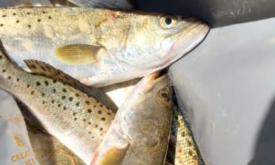 Great fishing experience!
