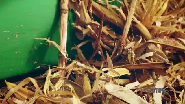 Stine HP Corn: 2014 Harvest