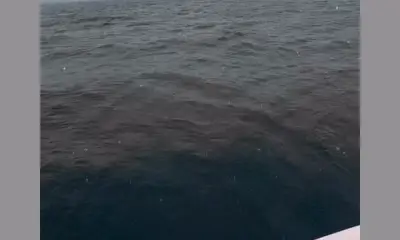 Whole another level of experience 