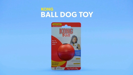 KONG Ball Small Dog, KB2, for dogs size up to 20 lbs