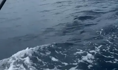 Captain Brad made our day!!