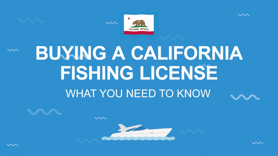 California Fishing License: The Complete Guide (Updated 2023)