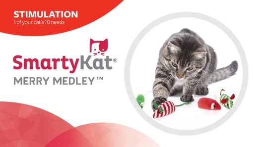 Play Video: Learn More About SmartyKat From Our Team of Experts
