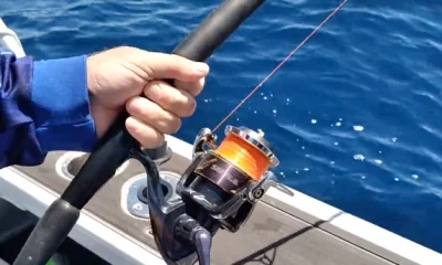 Tairua Report Video 0