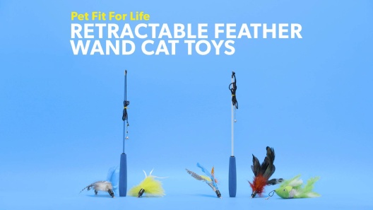 PET FIT FOR LIFE Robotic Floppy Fish & Wand Cat Toy - Chewy.com