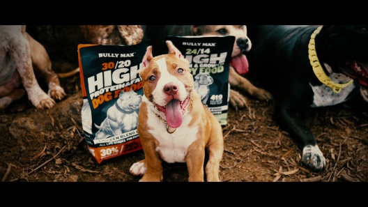 High Protein Best Dog Food To Gain Muscle BULLY MAX Power Chews