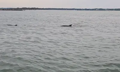 Murrells Inlet Report Video 2