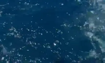 Portugal Video Report 2