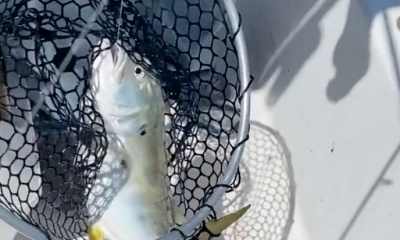 Great fishing trip with my 13 year old son.