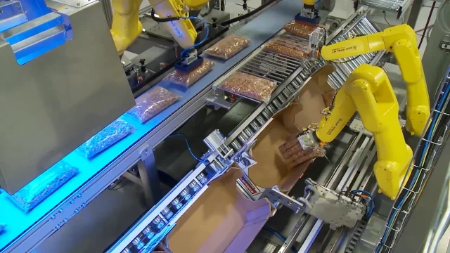 FANUC LR Mate robots case pacing almonds