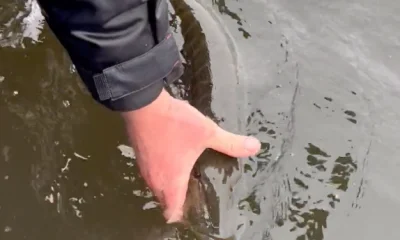 Almere Report Video 0
