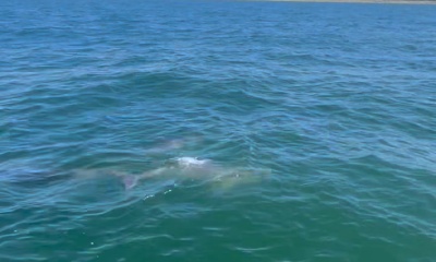 Great boat trip! 