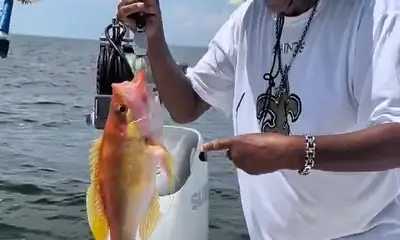 Best 4th of July Fishing Trip!!