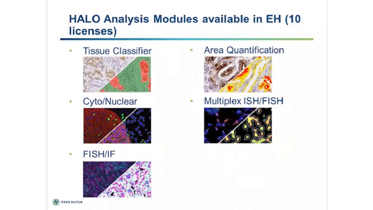 simoa-assay-kits