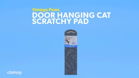 Play Video: Learn More About Omega Paw From Our Team of Experts