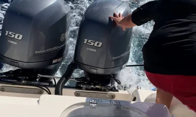 Puerto Aventuras Report Video 0