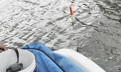 best captain in Florida