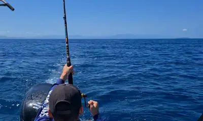 Oakridge Report Video 0