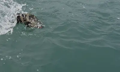 Wow did we catch some fish.