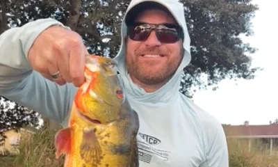 Lake Worth Report Video 2