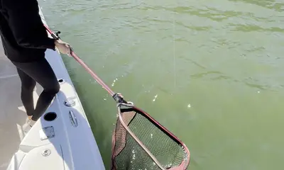 Townville Report Video 0