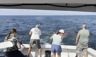 Wildwood Report Video 1
