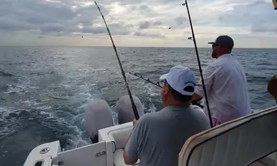 Panama City Report Video 0