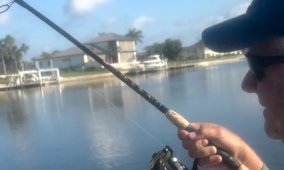 Punta Gorda Report Video 0