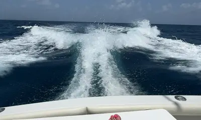 Great Day at Sea Sir!
