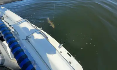 BEST GUIDE WE\u2019VE EVER HAD 