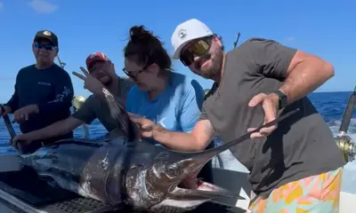 Haleiwa Report Video 0