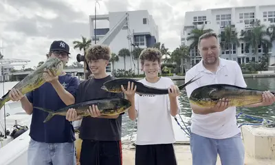 Miami Beach Report Video 0
