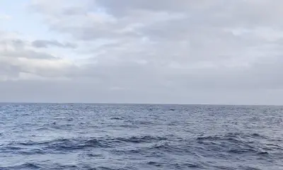 Oceanside Izveštaj Video 0