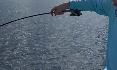 West Bay Report Video 0
