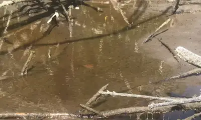 Homestead Report Video 1