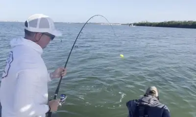 Capt Andrew put us on fish all day - red fish, grouoer, snook, countless trout and my first cobia!  All while managing 6 of us!!