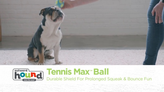 Outward Hound Squeaker Ballz, Tennis Ballz, Tennis Max Balls