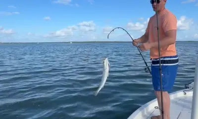 Caught fish nonstop during 1 hour session