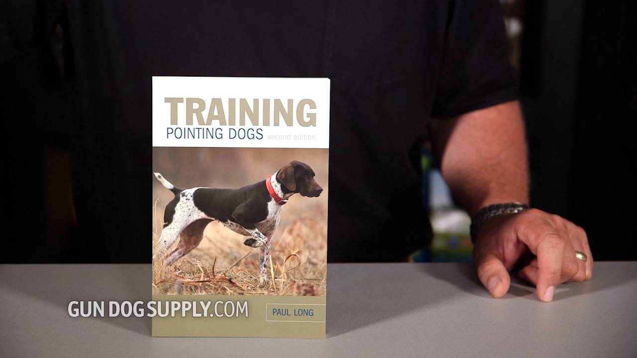 Duck dog 2024 training books