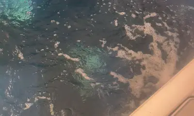 One of the best experiences!