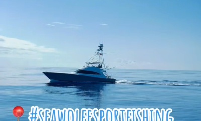 Bermuda Report Video 1