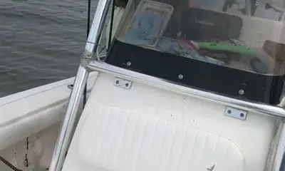 Venice Report Video 0