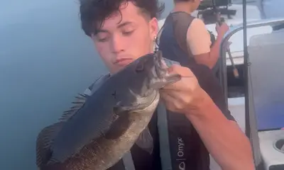 Great trip