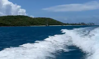 Perfect day at Palominos Isle