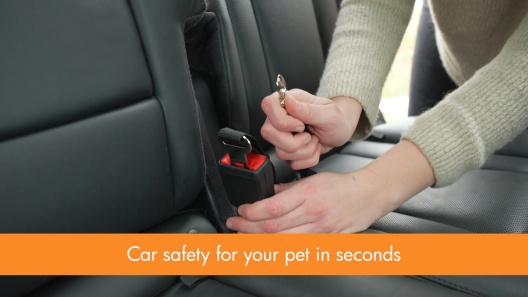 K&H Pet Products Buckle n' Go Dog & Cat Car Seat