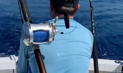 Sandys Report Video 0