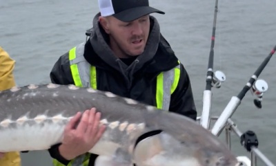 Berkeley Report Video 0